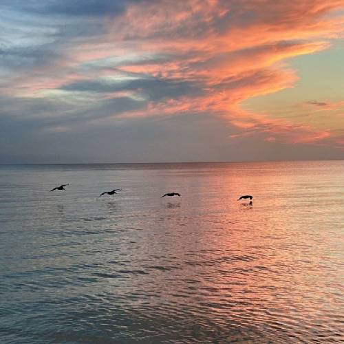 هادی منجی زندان